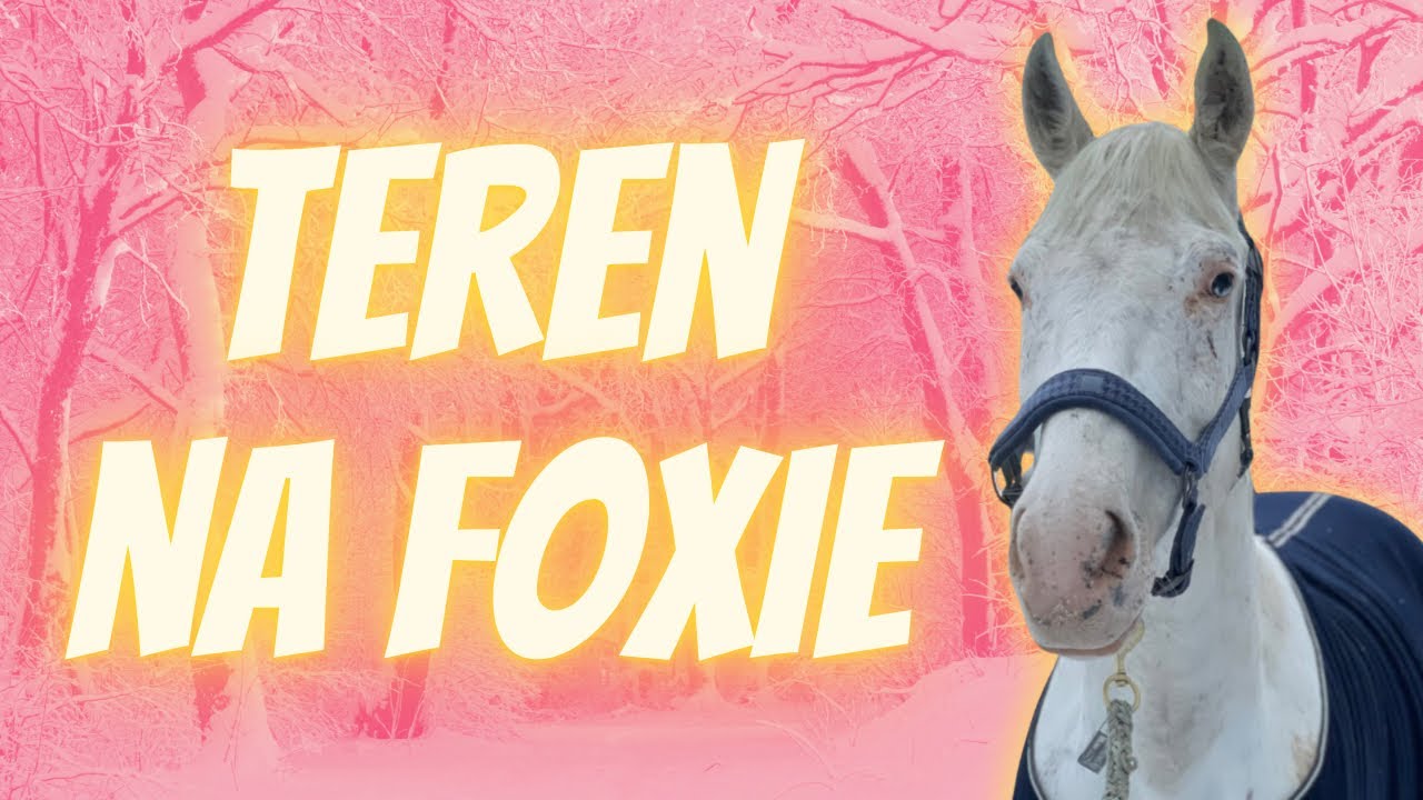 VLOGMAS #22 🎁 TEREN NA FOXIE 🌲🌲🌲
