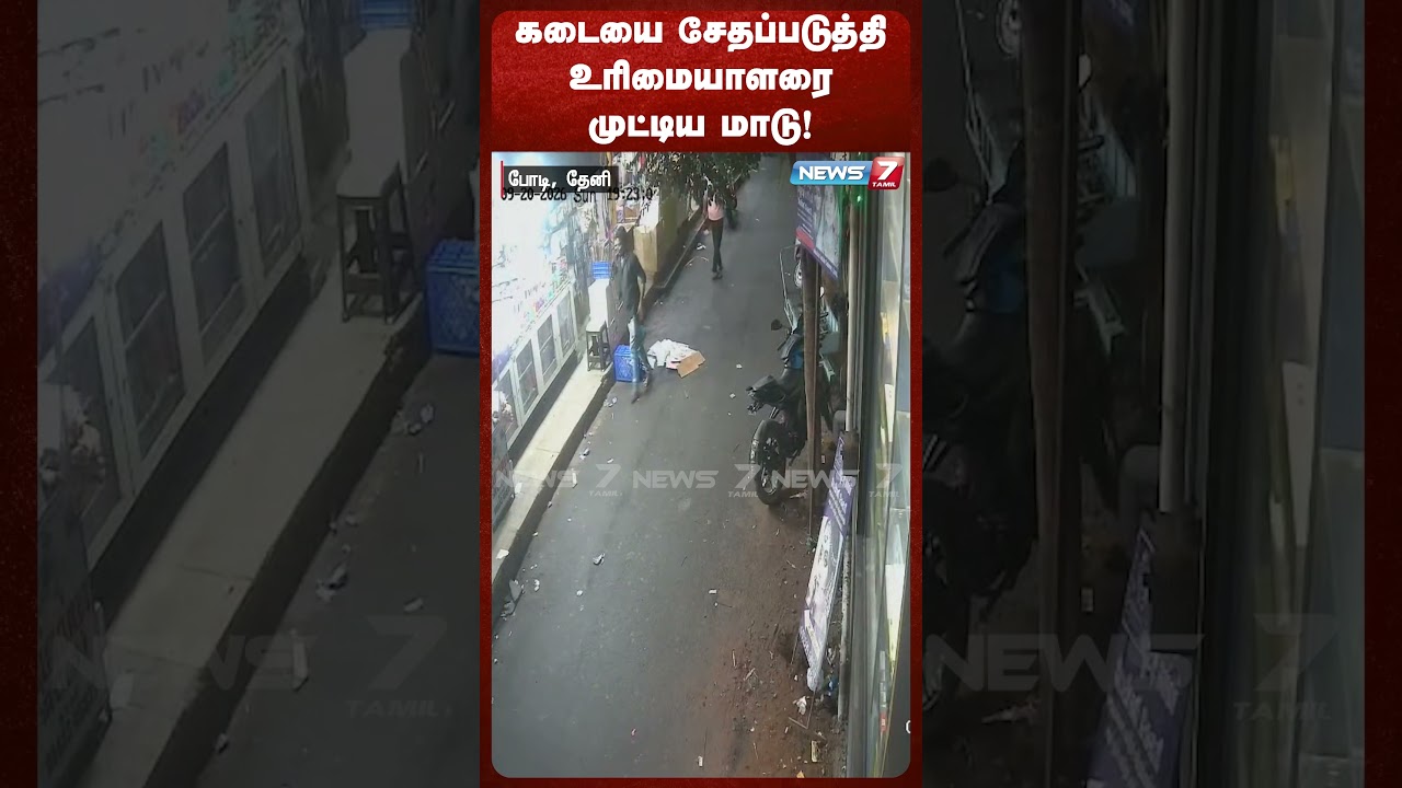 கடையை சேதப்படுத்தி உரிமையாளரை முட்டிய மாடு! | NEWS7 TAMIL