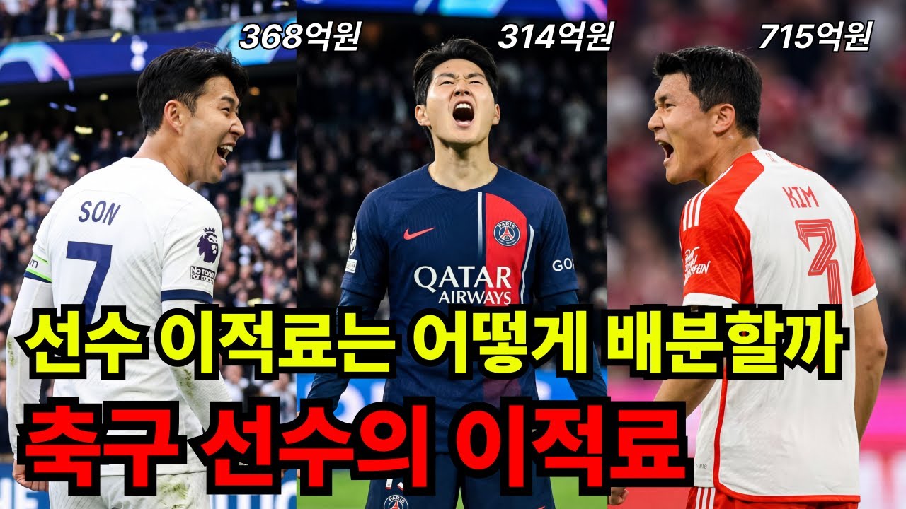 선수 이적료는 어떻게 배분할까? 축구 시장의 구조