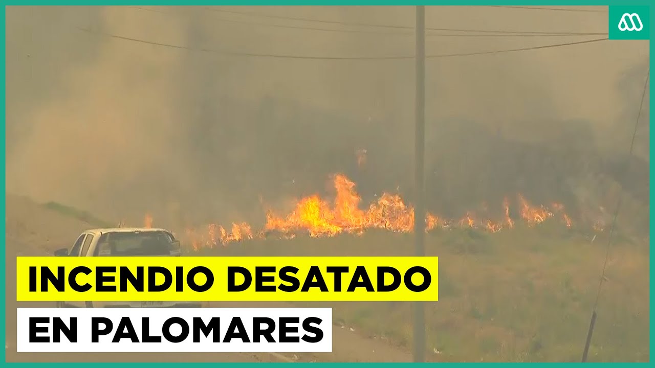 Llamas sin control en sector Palomares: Fuego amenaza viviendas