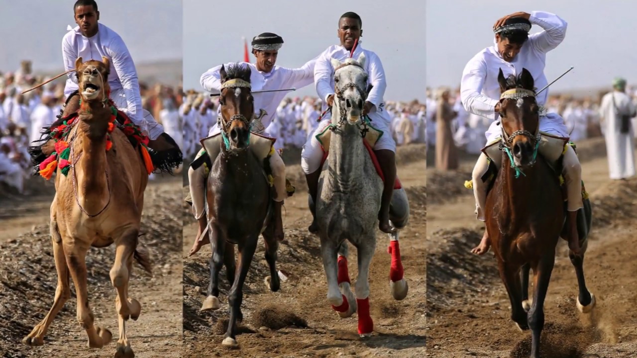 مهرجان عرضه الخيل والهجن بولاية صحم برعايه حاكم عجمان سمو الشيخ حميد بن راشد النعيمي
