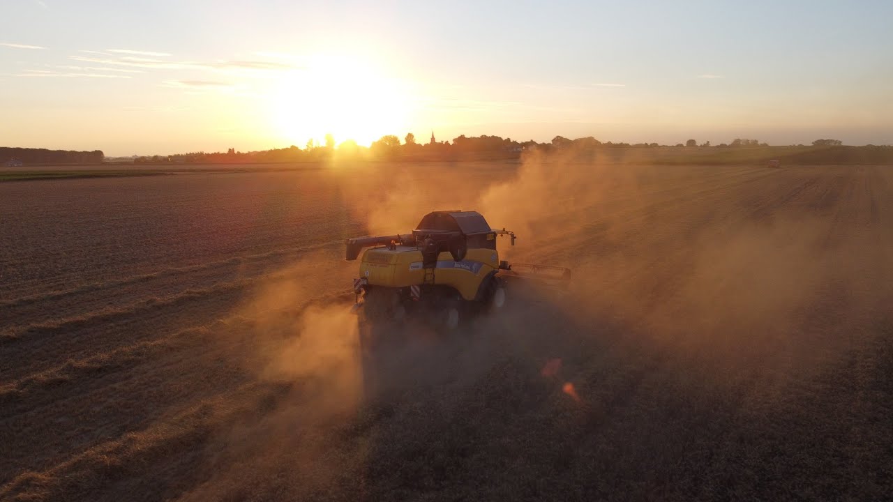 😍 MOISSON 2022🌾/TRION/LEXION 🟢/CX🟡/BLUE POWER🔵|| ETA NICOLAS CACHERA