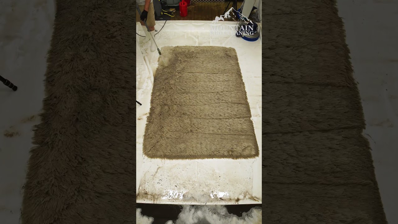 ASTONISHING Timelapse Of A Full Rug Clean. Amazing Transformation! ASMR Timelapse. #shorts
