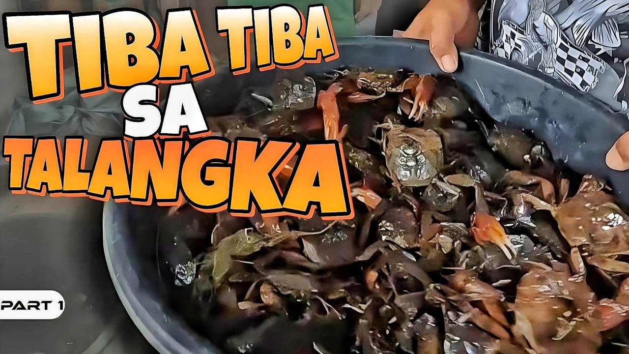 P1 - Tiba Tiba sa Talangka - EP1001