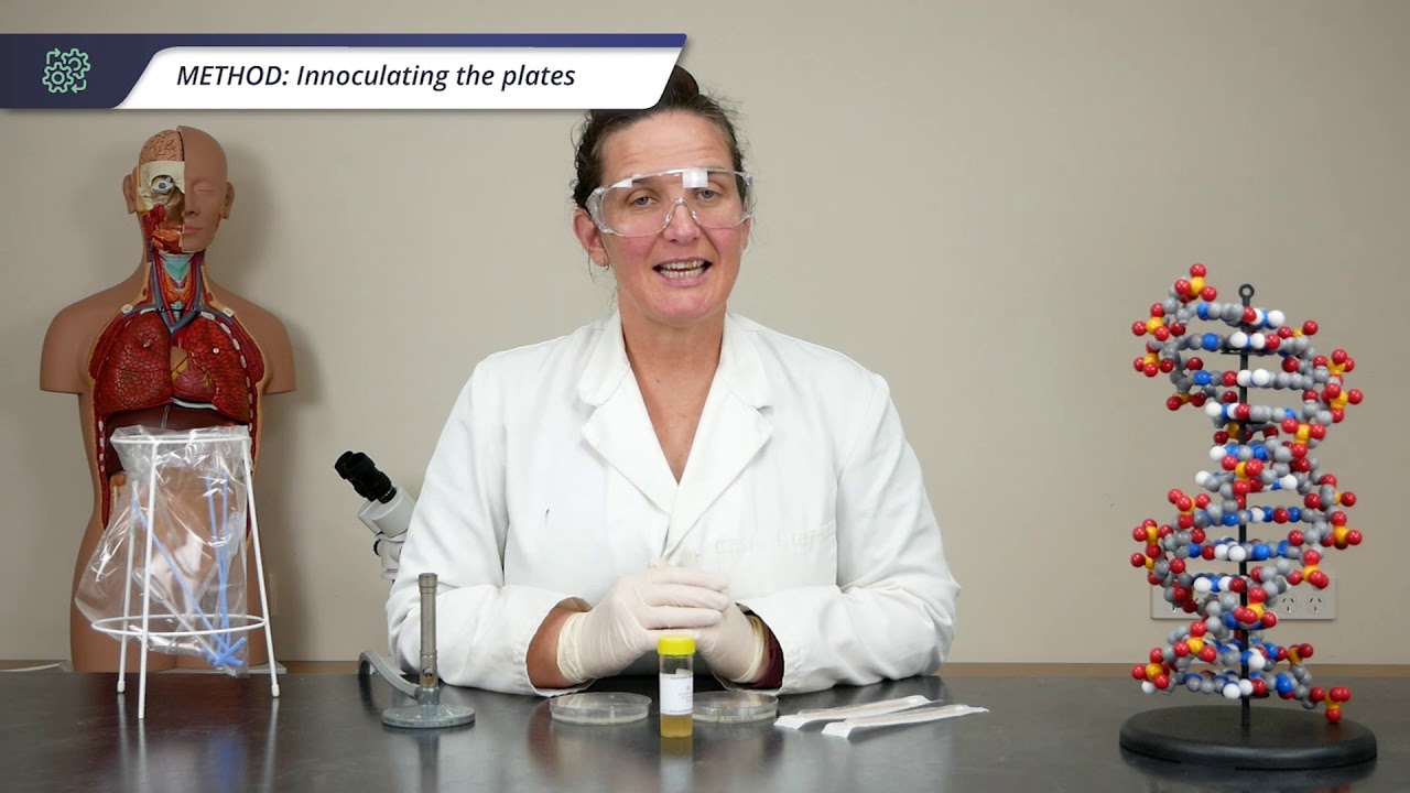 Exploring Antibiotic Resistance