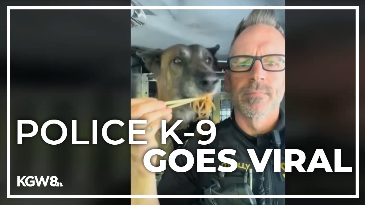 Washington County K-9 named Radar becomes a social media star