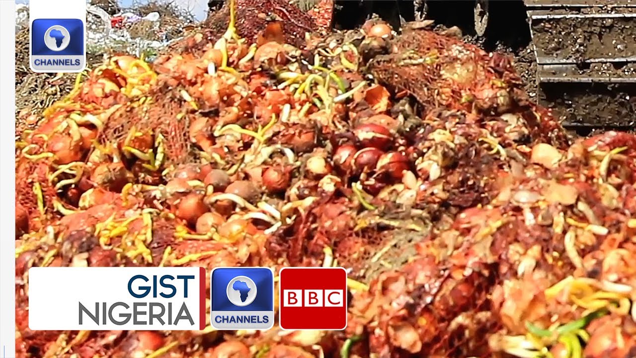 Addressing Nigeria’s Post Harvest Waste And Food Inflation