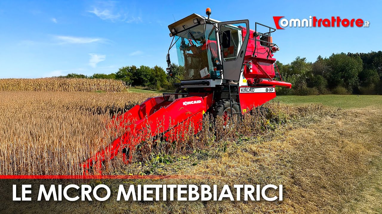 🚜 Le MINI Mietitrebbie che NON CONOSCEVI! Piccole, Potenti e Sotto i 50.000€