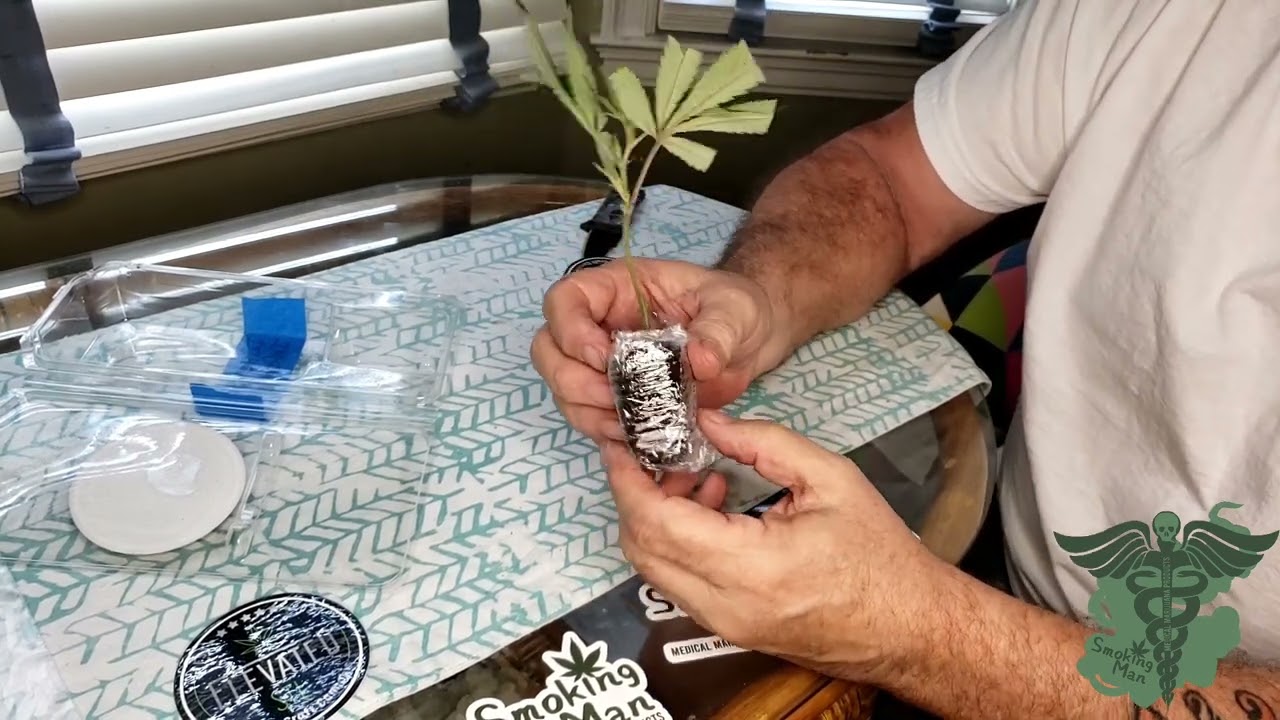 Unboxing Dante's Inferno clone from Elevated STL.1lb Plant Project season 2 Episode 1