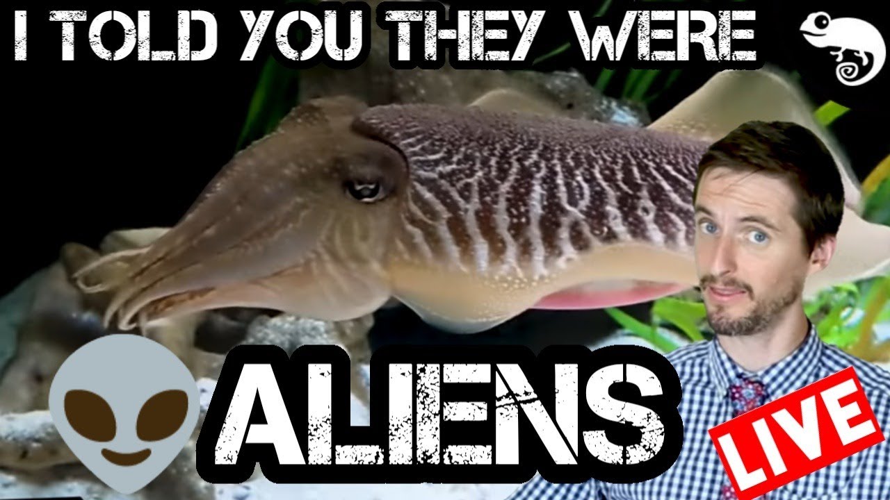 🔴LIVE I Told You They Were Aliens: Social Distancing with Clint (Week 48)