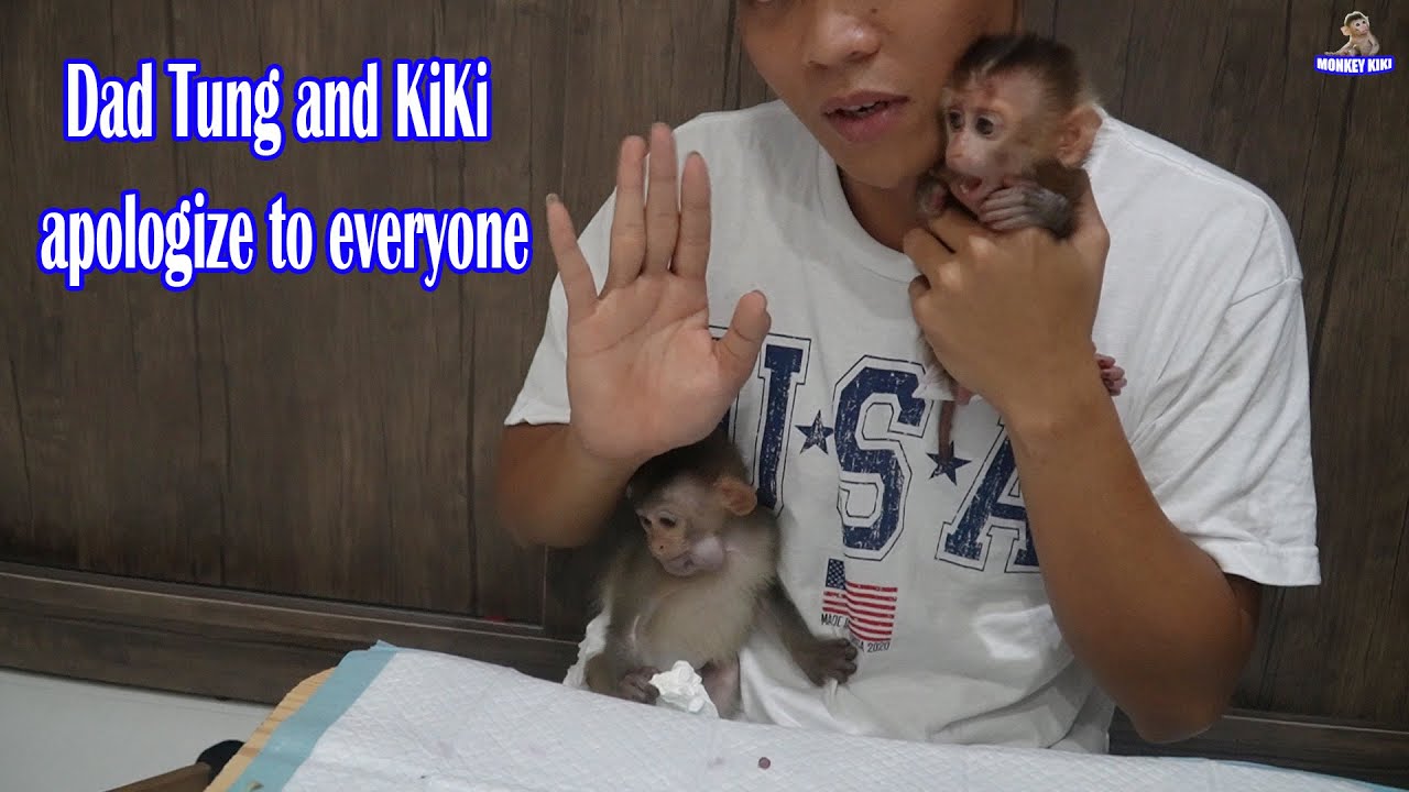 Dad Tung and KiKi apologize to everyone | Monkey KiKi