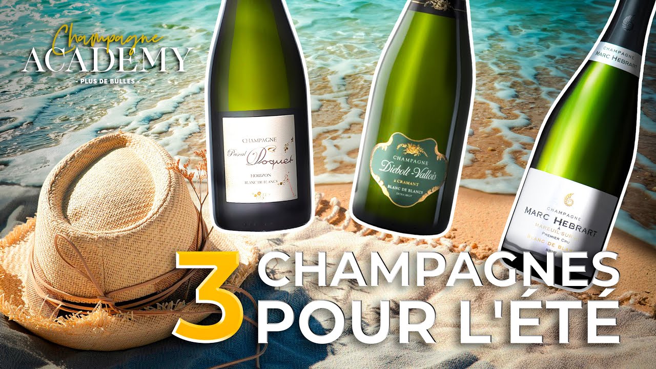 🧊☀️ 3 Champagnes Blanc de Blancs à ouvrir cet été