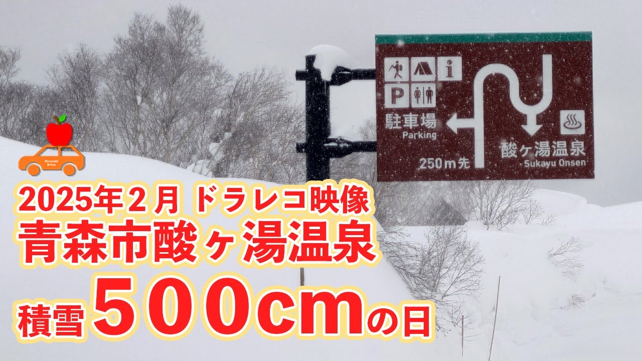 2025年２月 青森県 酸ヶ湯温泉の積雪が500cmを超えた日のドラレコ映像！ #ドラレコ #青森県 #大雪