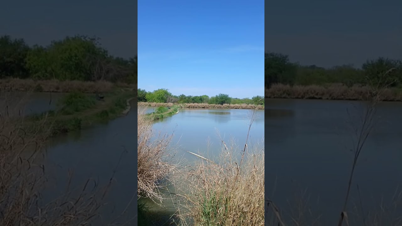 Bird sanctuary Uvalde