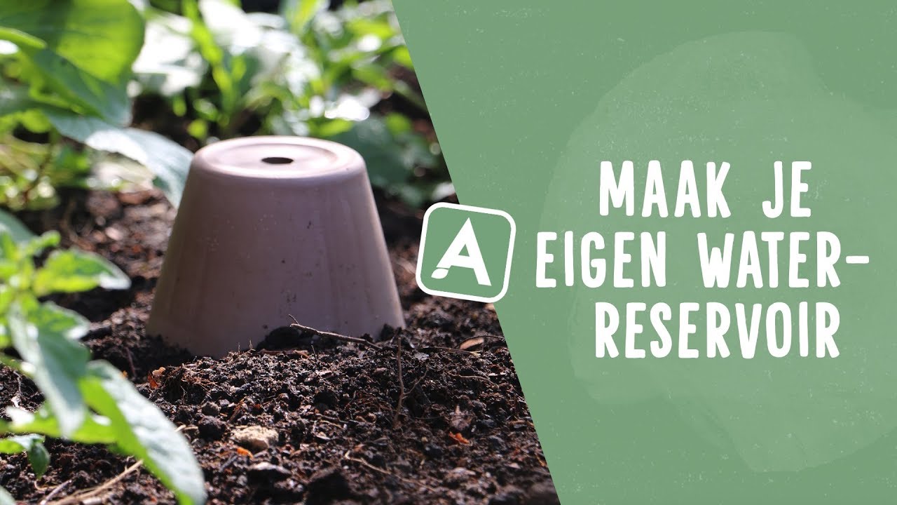 Je tuin makkelijk en doeltreffend water geven? Doe het met deze magic trick! I Angelo Dorny