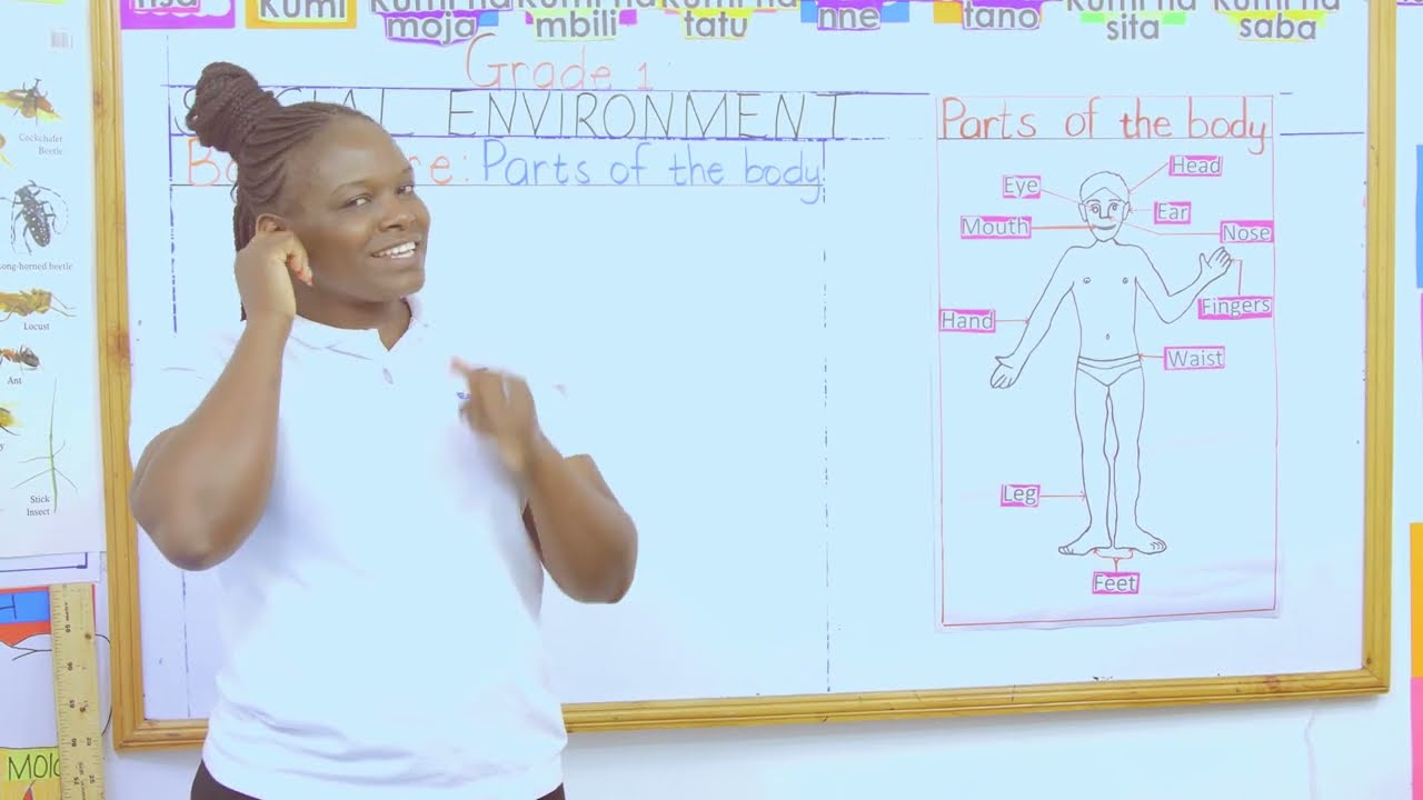 How to Identify Different Parts of the Body and their Uses | CBC Grade 1 Social Environment Lesson
