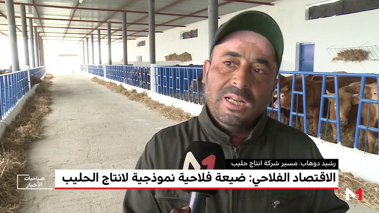 الاستثمار في 