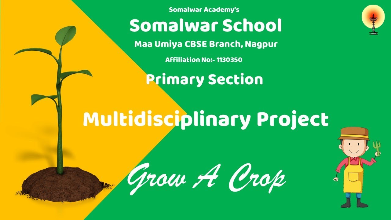 DIY PROJECTS||DIY ACTIVITIES || MULTI DISPLINARY PROJECT|| YEAR 2021 ||SOMALWAR SCHOOL||NAGPUR ●
