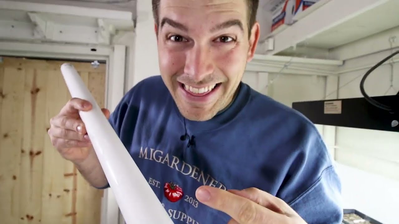 Here’s Everything You Need to Know About Growlights As A Beginning Gardener