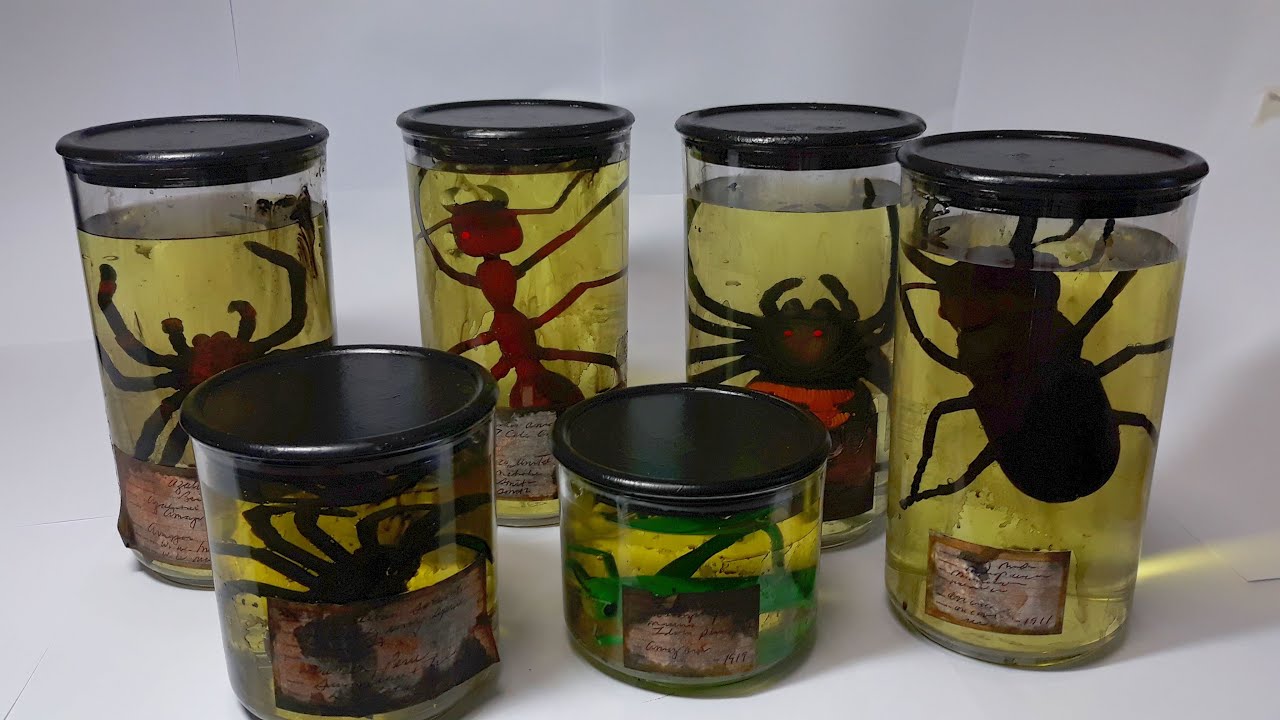 Prop Making: Creepy Insect Specimen Jars