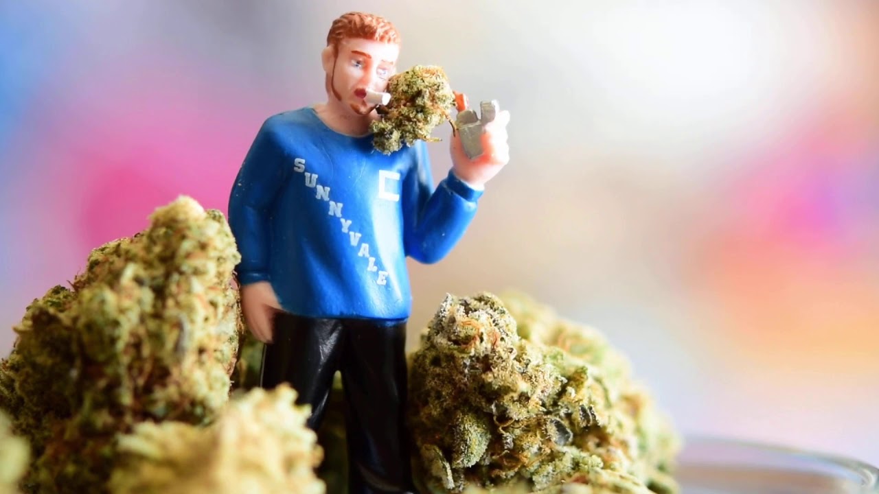 TPB Ricky weed Got Kush?