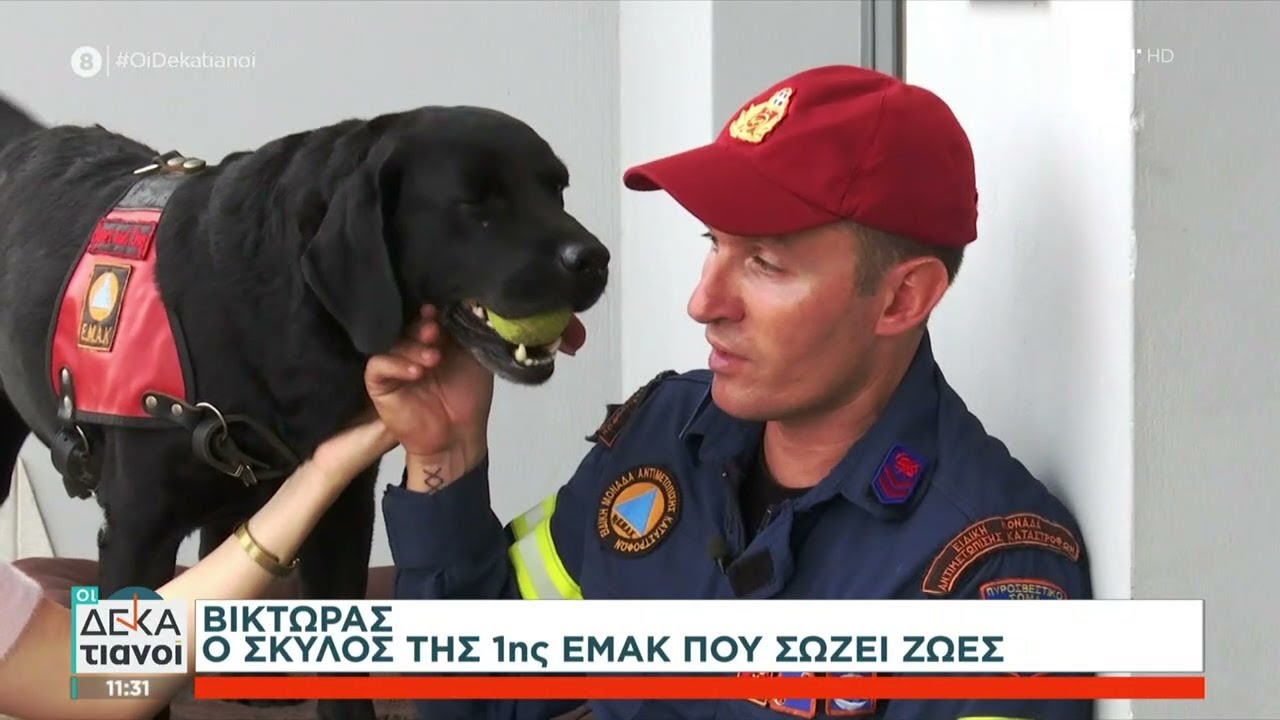 Βίκτωρας ο σκύλος της 1ης ΕΜΑΚ που σώζει ζωές | Οι Δεκατιανοί | 24/12/2023
