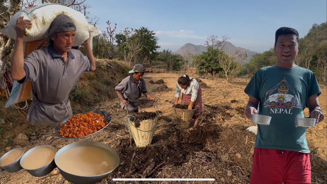 फुर्साद को बेलाम बाख्रा लाई घास् दिने थाऊॅं बनाऊदै#min joi#villagevlog 