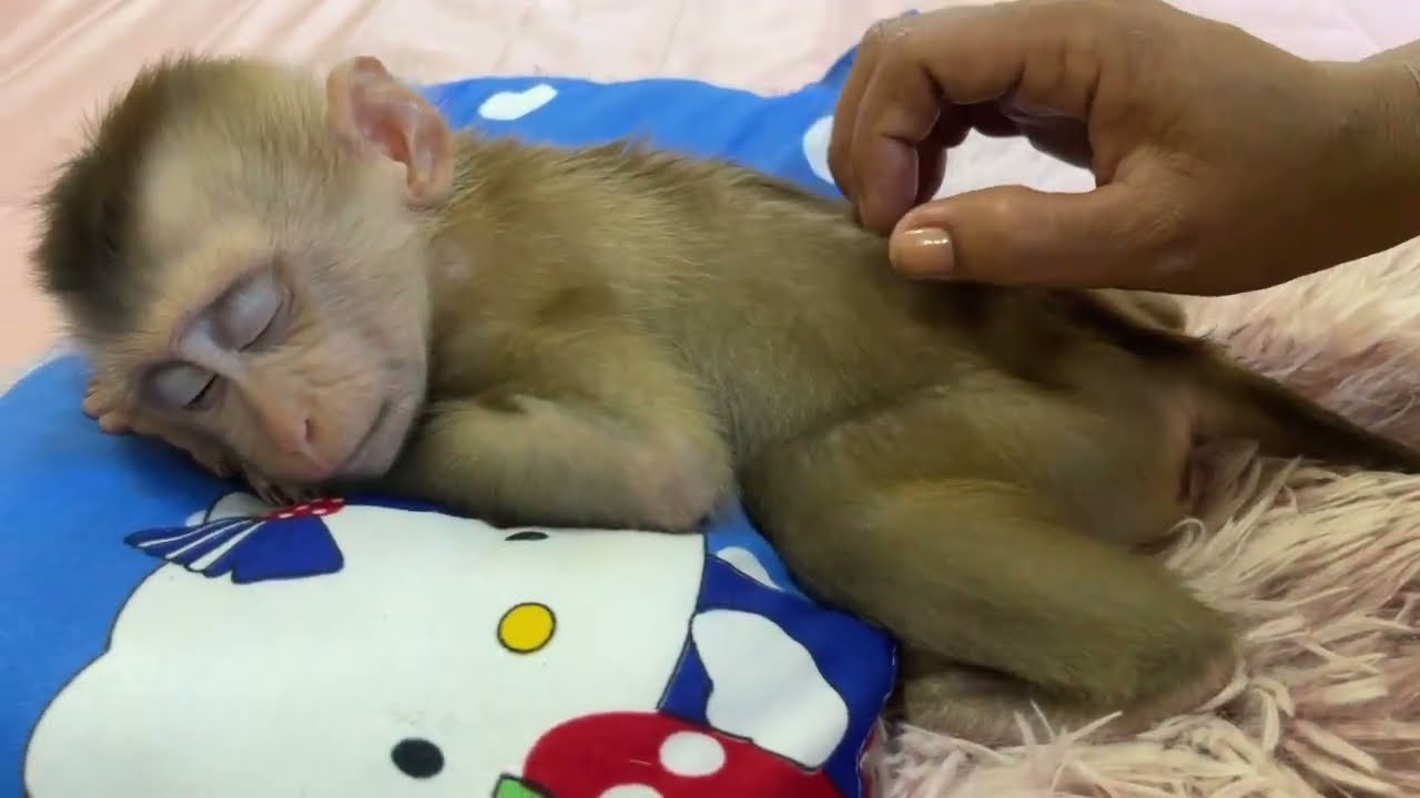 This Really Catchy Massage For Baby Jessa To Relax, Amazing And Hilarious Baby And Mom