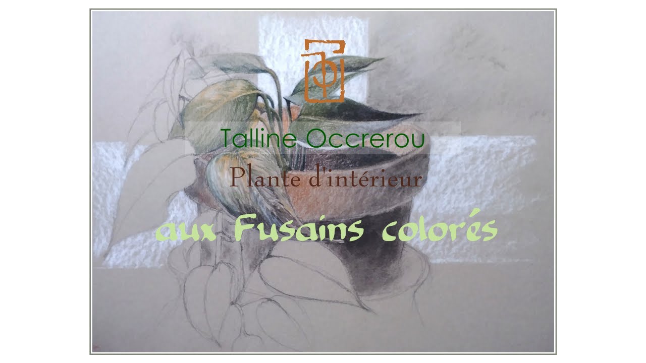 Tutoriel - Fusains colorés - Plante d'intérieur - Talline Occrerou