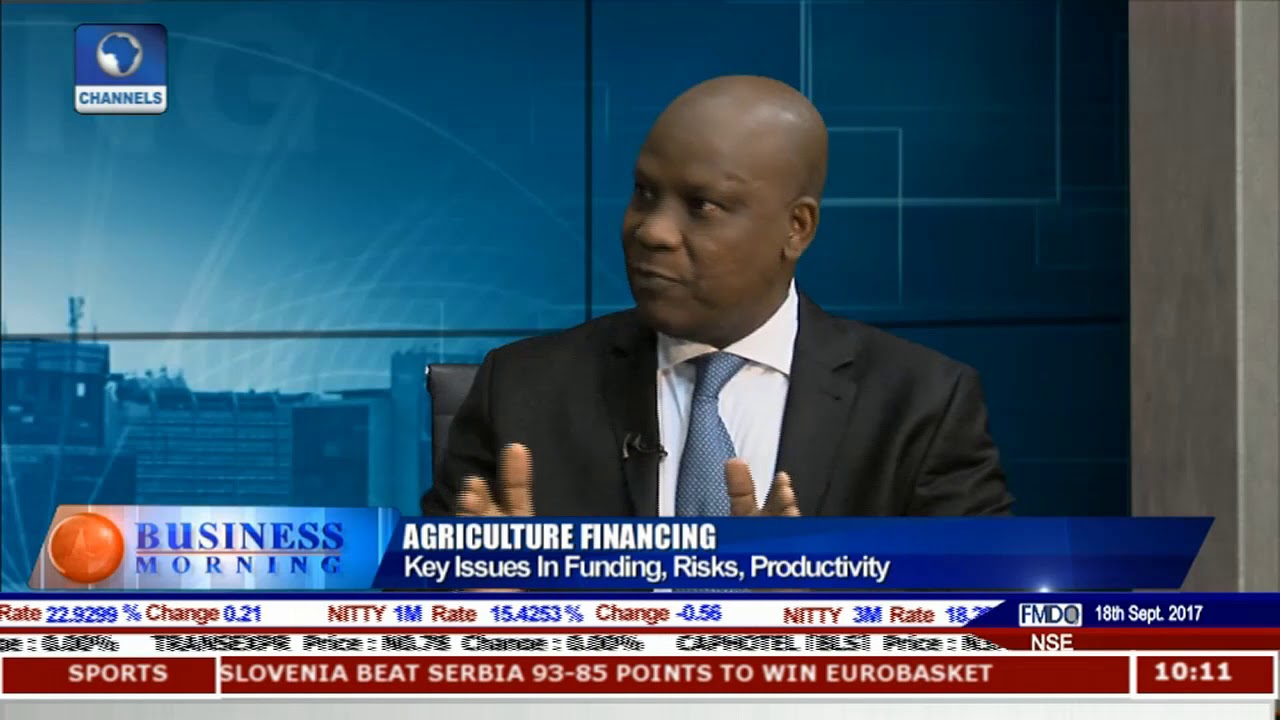 Key Issues In Agricultural Financing, Risks, Productivity Pt.2 |Business Morning|