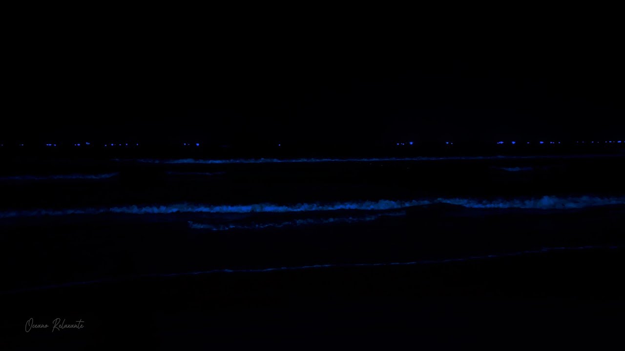 Ocean Sounds That Helps You Deep Sleep 🌛 Stress Relief, Relaxing Ocean Waves for Sleeping