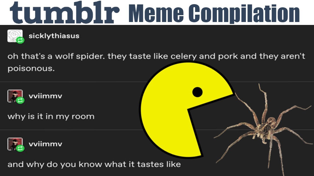 Funny Tumblr Posts | Binge Compilation #1