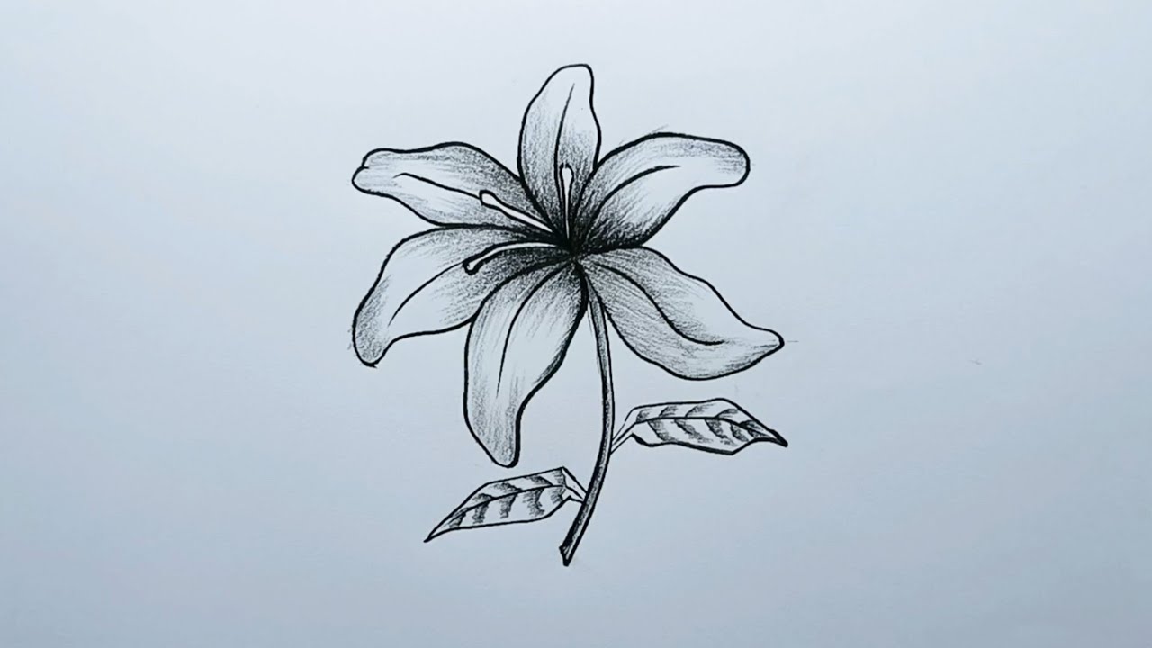 Flower Drawing Easy | Simple flower drawing step by step |