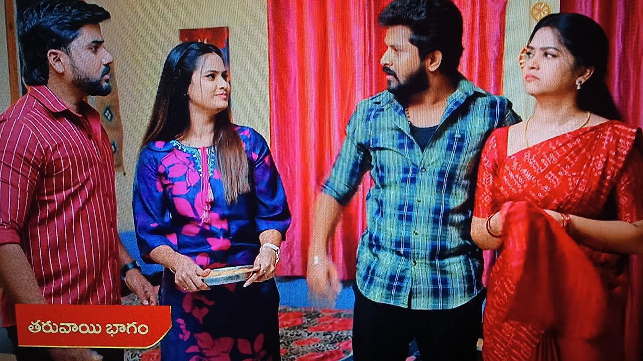 శృతి మీద కోపడ్డ మీనా బాలు