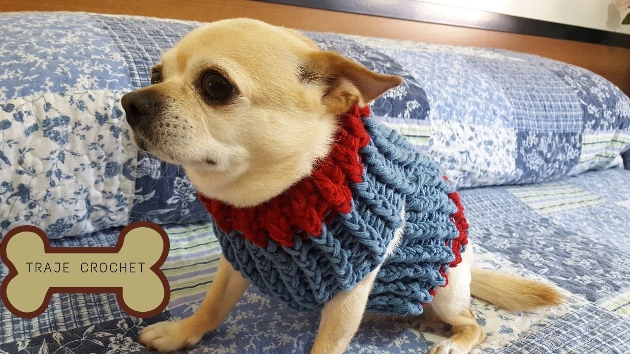 TRAJE DE PERRO A CROCHET