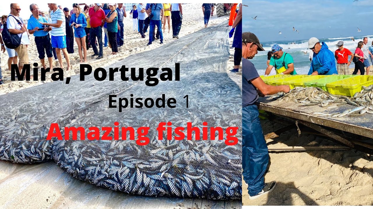 Amazing net fishing from the shore, Mira Portugal