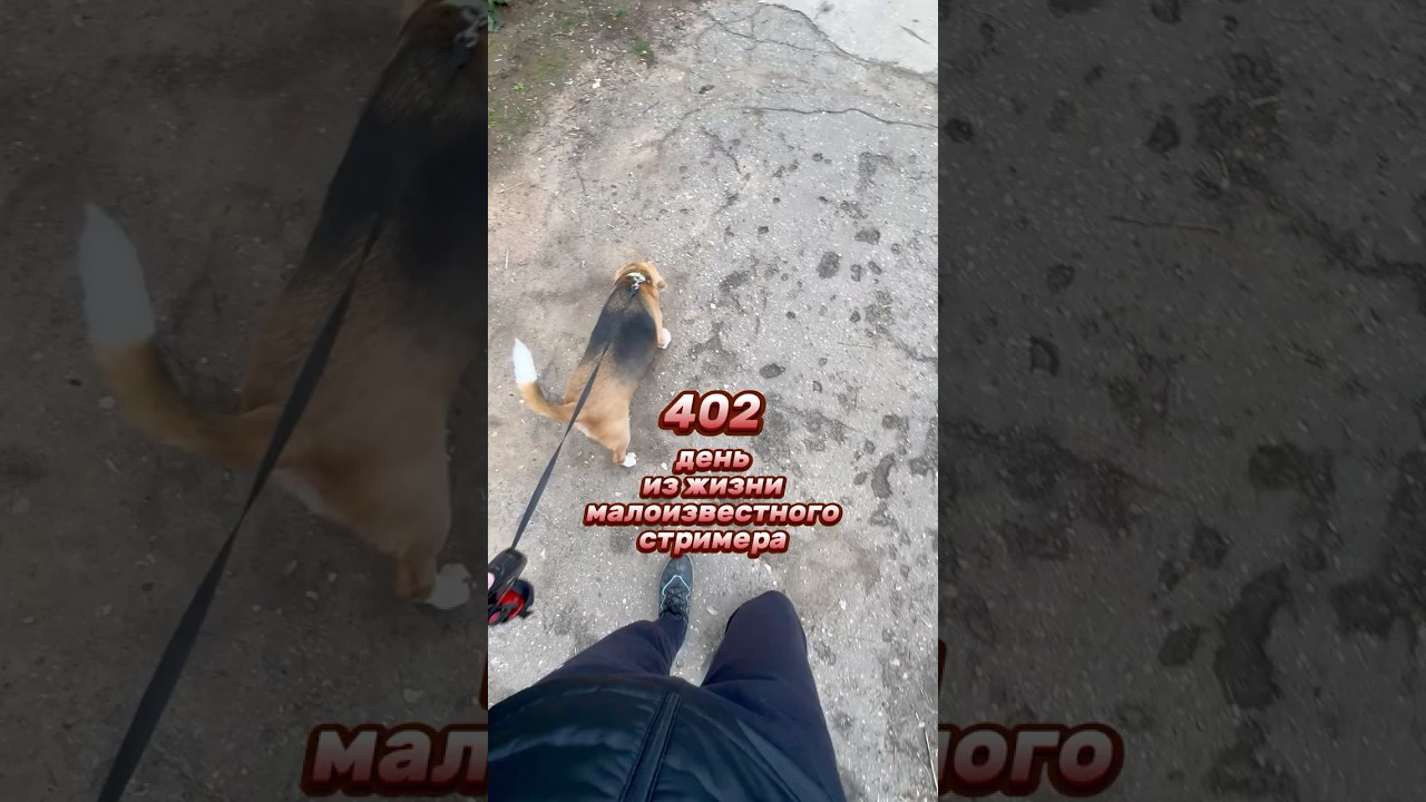 402й день из жизни малоизвестного стримера #влог #twitch #vlog #влог