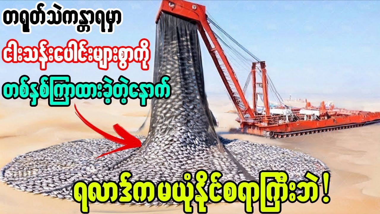 သဲကန္တာရအလယ်ခေါင်မှာ ငါးမွေးခဲ့တဲ့တရုတ်‌တွေရဲ့လုပ်ရပ်က တစ်ကမ္ဘာလုံးအံ့အားသင့်စေတယ်!😱😱😱