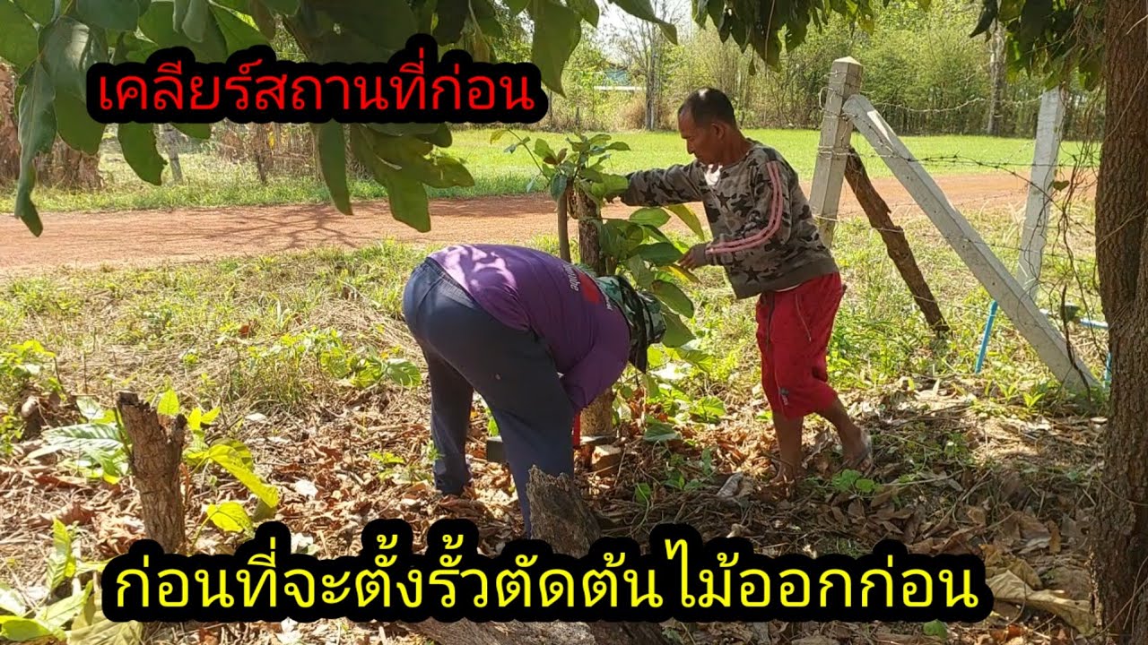 ก่อนที่จะตั้งรั้ว ทำการตัดต้นไม้เคลียร์สถานที่ก่อน#จิตอาสา 