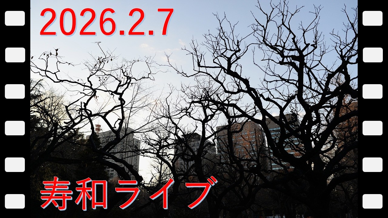 週末定例・寿和ライブ 2026.2.7：奥さんフエラムネ「真夜中のギター」 / タロット / ポエム / LP / 映画パンフ「栄光のルマン」