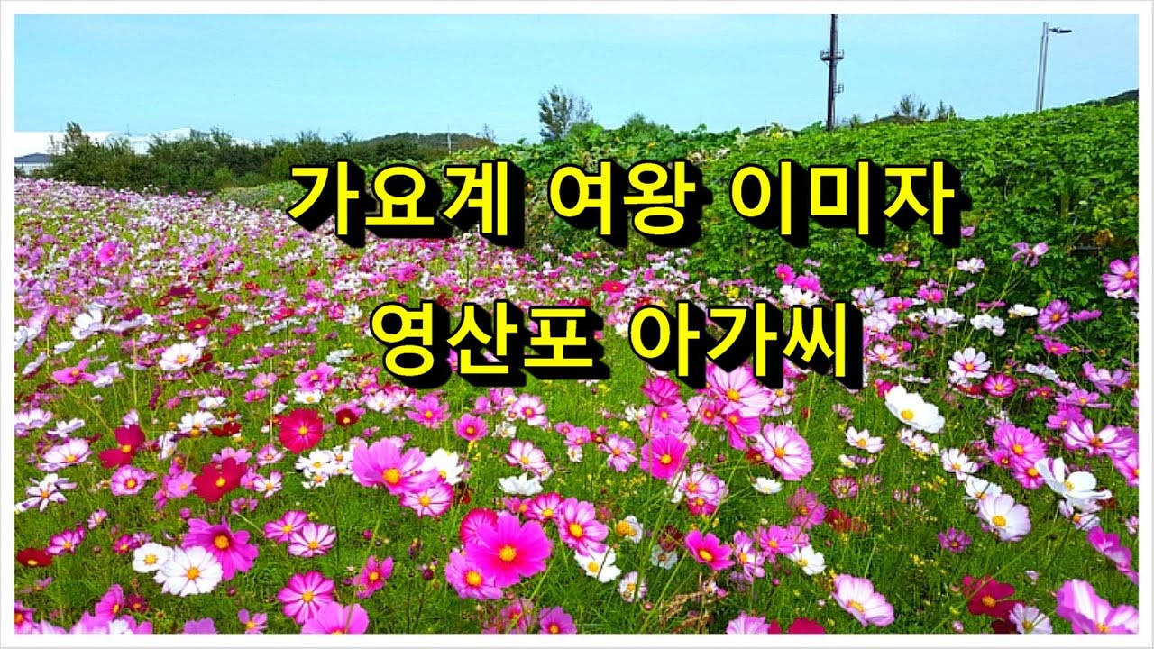 ♬ 가요계의여왕 ♬ 이미자 ♬ 영산포 아가씨 ♬ 4K