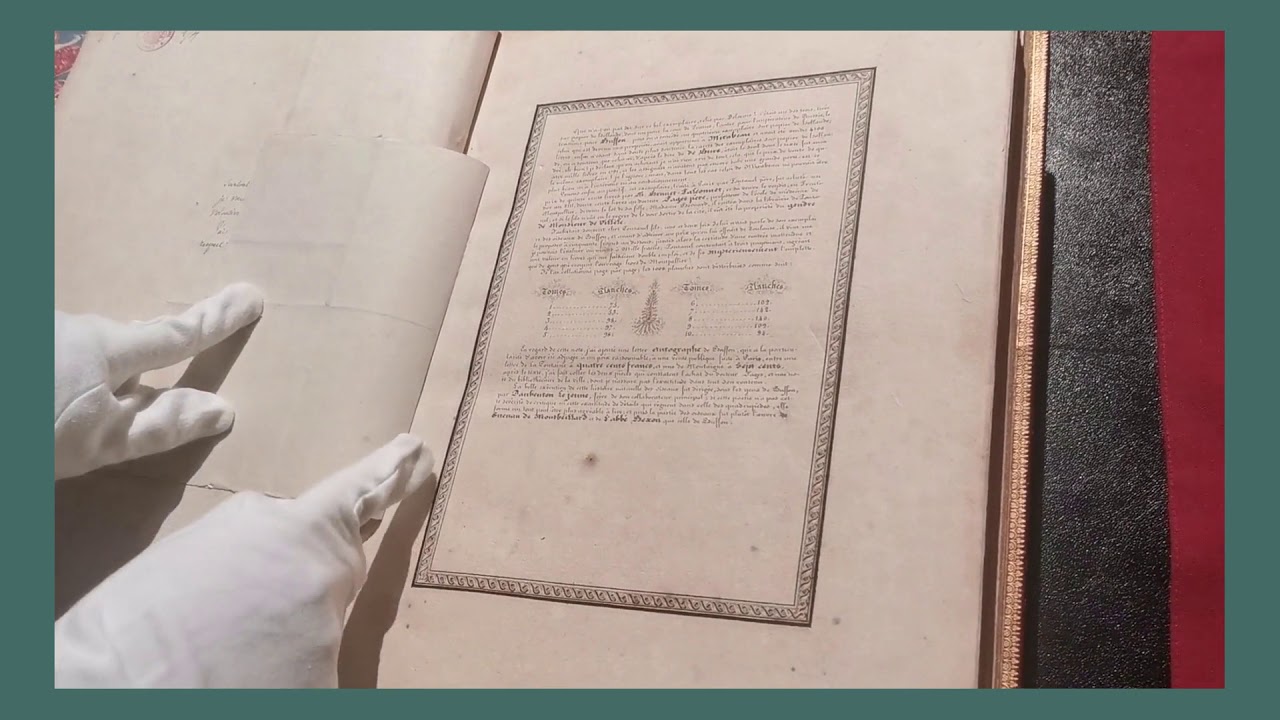 Visite guidée -Les chefs d’œuvre de la collection 