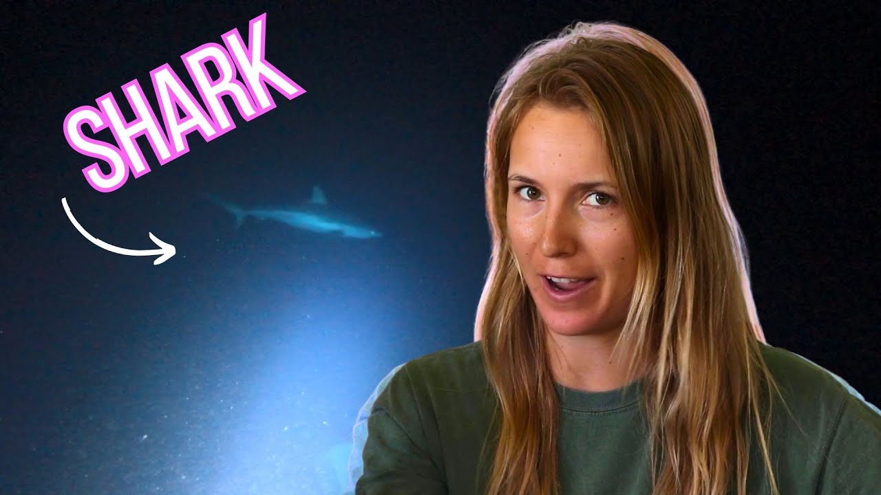 Is Scuba Diving at night Safe or Scary?