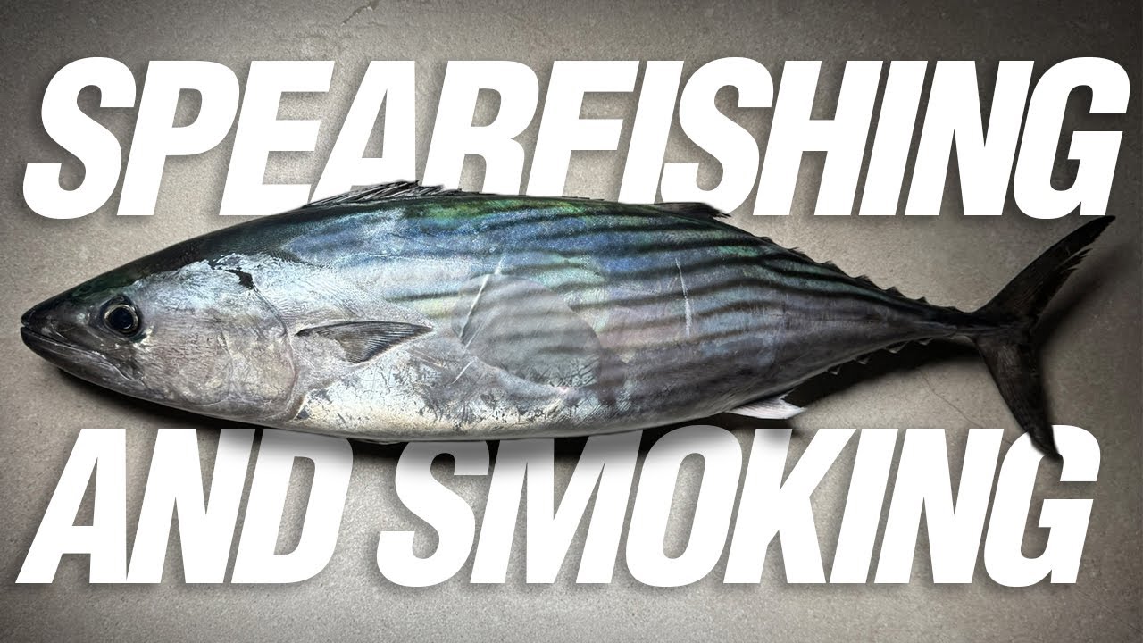 Spearfishing & Smoking Australian Bonito