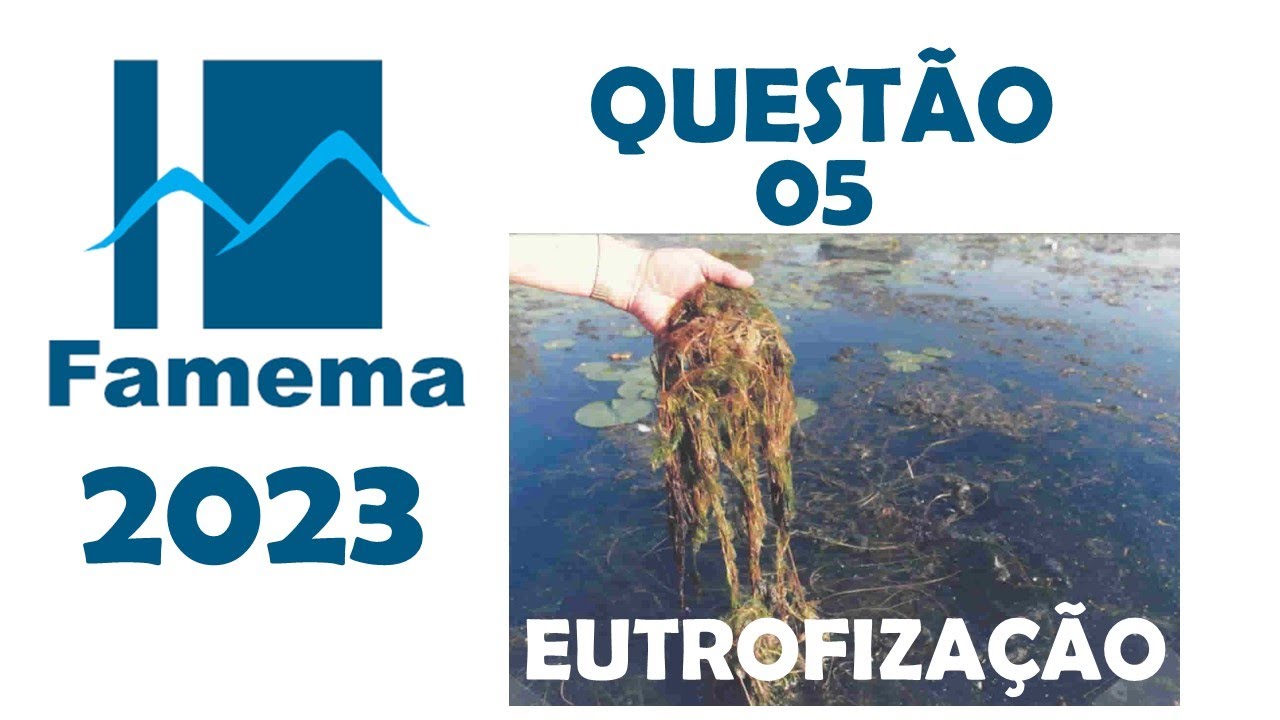 (Famema 2023) Questão 05 - O nitrogênio é o elemento químico mais abundante na atmosfera e compõe