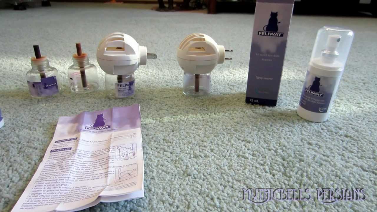 12 12 09 Feliway Review