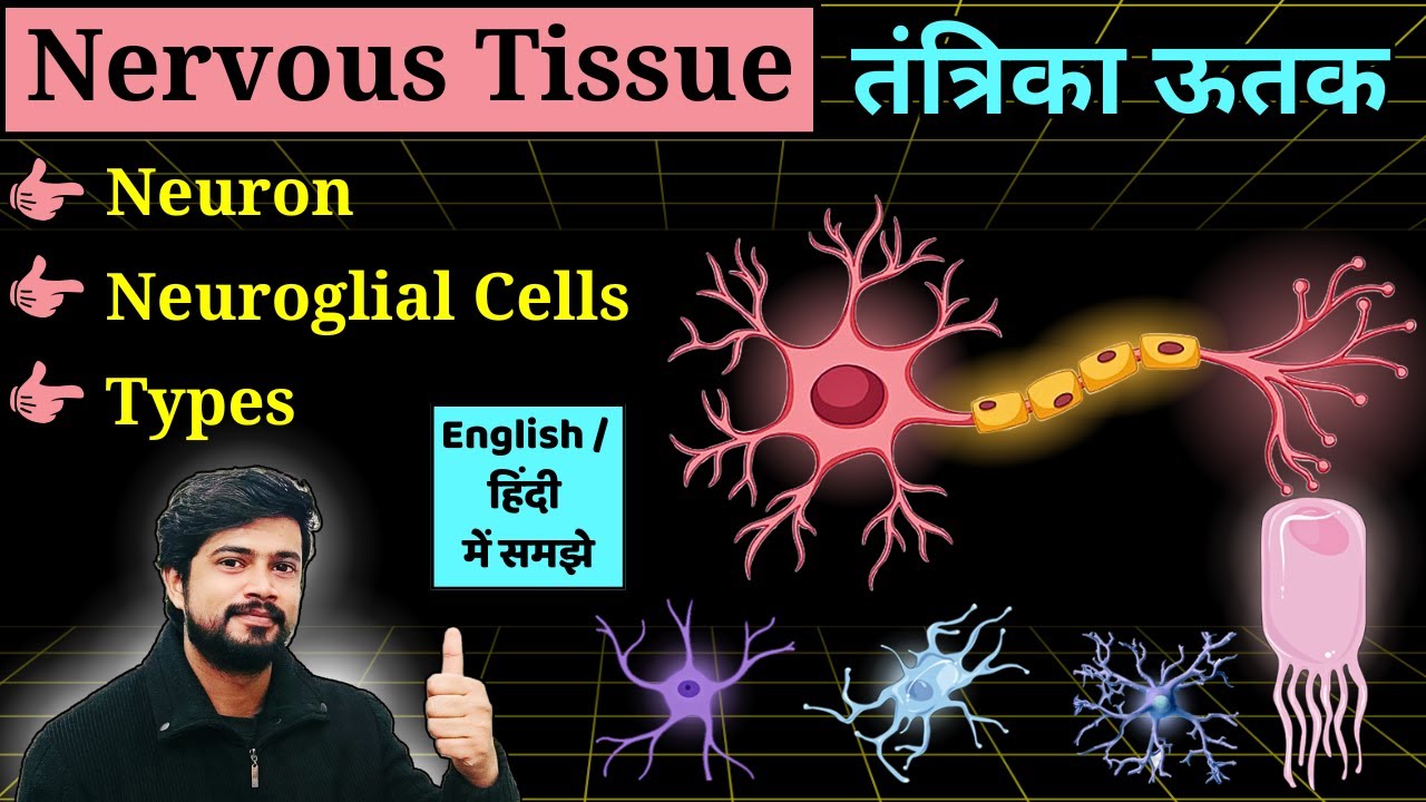 Nervous Tissue Anatomy and Physiology in Hindi || Bsc Nursing || MLT || Pharmacy || GNM || Notes