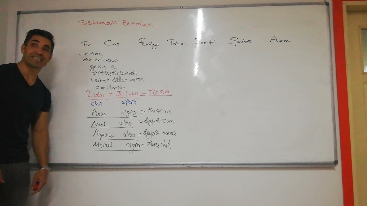 sistematik birimler, TÜR CİNS FAMİLYA...