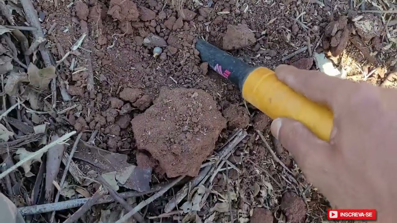 Ser&aacute; uma pepita de ouro