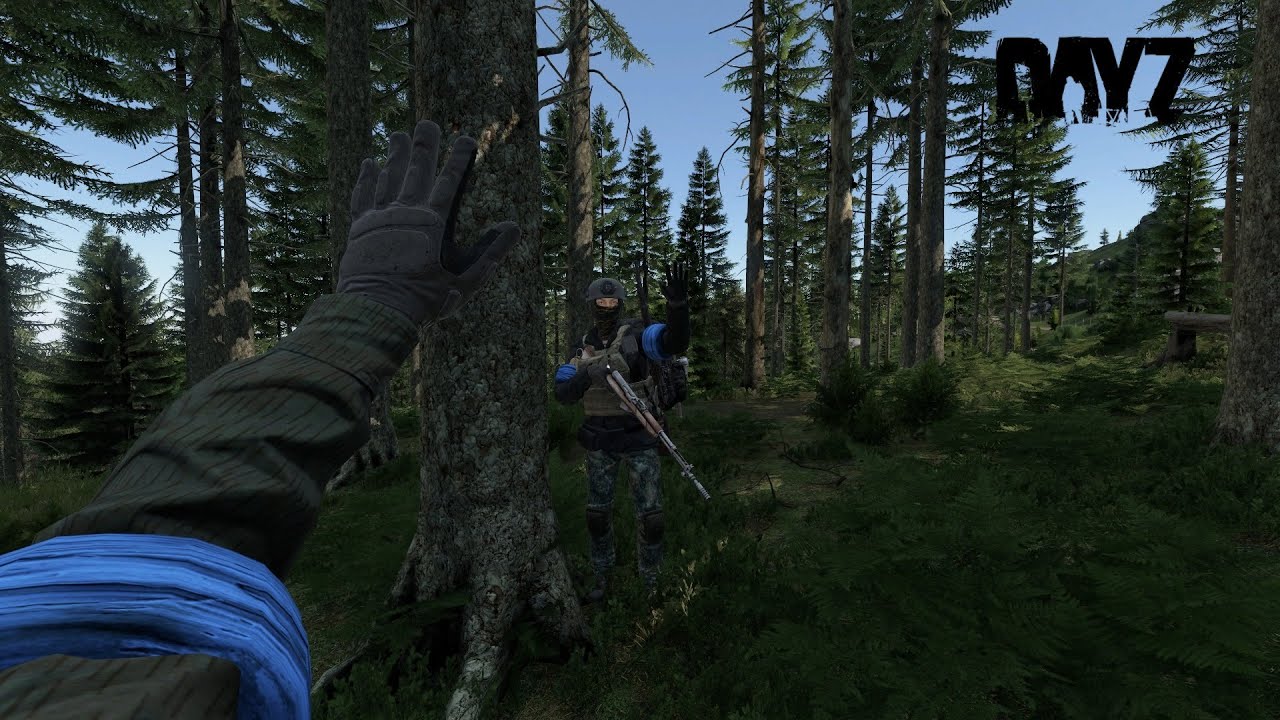 DAYZ ma meilleur survie sur livonia karmakrew
